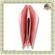 Illustration for article titled People Say This Sailor Moon Wallet Looks Like a Vagina